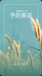 ・
ススキ🌾の穂が顔を出し
朝晩の風に、秋の気配を感じる「白露」

9月9日は「重陽の節句」
菊の花に、健やかに美しく歳を重ねる願いを込めて。

漢方では、秋は「肺」をいたわる季節。
少しずつ空気が乾き、
喉や鼻、お肌も潤いを欲し始めます。

首やデコルテをやさしくゆるめ
胸をひらいて、深い呼吸を
お肌には、たっぷりの潤いを。

夏の疲れを手放しながら、
心も身体も、少しずつ秋支度を。

「潤す・温める・ゆるめる」

秋も艶やかに、美しく🌾🍁✨
季節の変わり目に、
お肌の乾燥や首・肩まわりのこわばりが
気になっている方へ
秋を心地よく迎えるお手伝いをいたします。

Merelleでは、ほとんどのフェイシャルコースに、
首のケアやリンパ解放、ヘッドマッサージが付きます。
お顔だけじゃない、トータルケアを💆‍♀️

#merelle #beauty #facial #予防美容 #エイジングケア